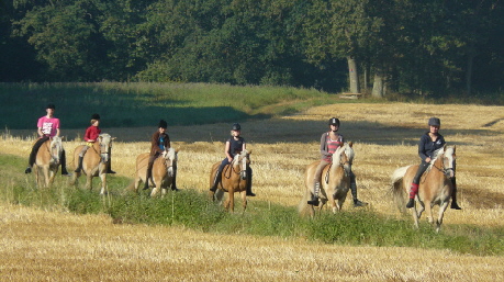 Haflinger-Ausritt durch die Clenzer Schweiz