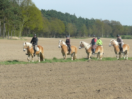 Fr�hjahrs--Ritt durch noch unbestellte Felder im Wendland !