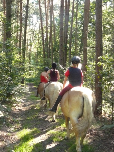  Ausritt auf herrlichen Reitpfad iin einem bezaubernden Fr�hlingswald !