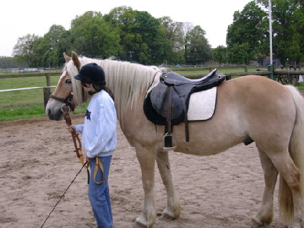..... jetzt kann�s gleich losgehen !