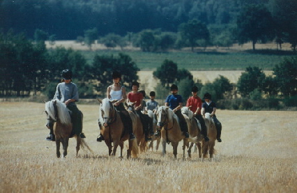 . Ausritt durch die reizvolle Landschaft der "Clenzer Schweiz"