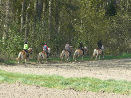 Ausritt am Waldesrand in der "Clenzer Schweiz"