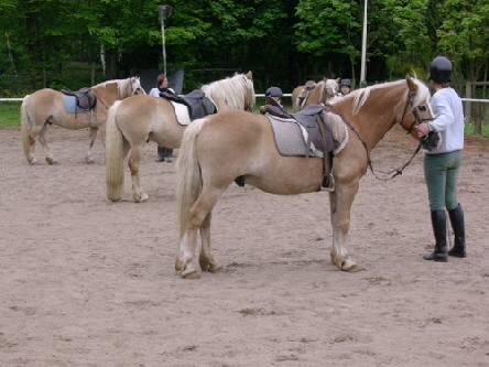 Vorbereitung zur Bahnstunde