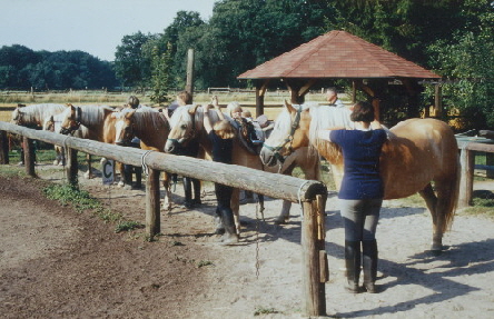 .....und auch den Gro�en Spass !