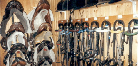 unsere Sattelkammer