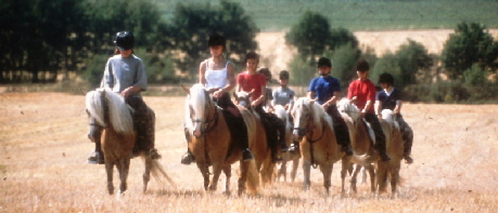                                                          Die Reiter-Gruppe vom Heidehof 
                                    ein Ausritt durch landschaftlich reizvolle "Clenzer Schweiz"  